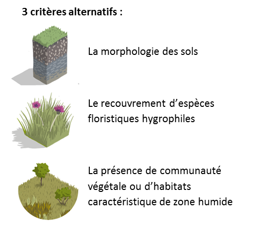 Les Zones humide introduction image 1