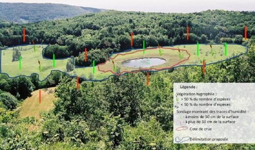 Les Zones humides introduction image 2