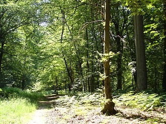 Paysages et biodiversité introduction image 1